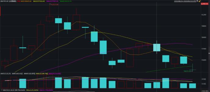 中紀委發文！白酒股“瑟瑟發抖” 機構：持續堅定推薦白酒板塊