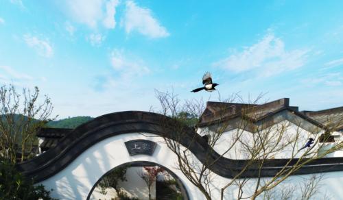 合景泰富25周年記: 特色城鎮的新探索 云上的美好生活