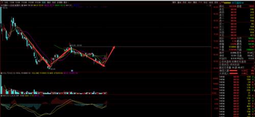 披荊斬棘，“芯”之旅即將開啟？