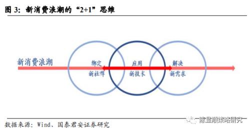 國君策略 | 勢不可擋的新消費浪潮