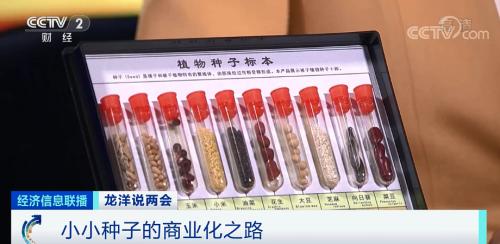 中國糧，用中國種！
