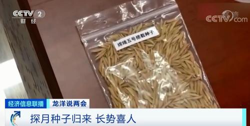 中國糧，用中國種！