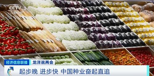 中國糧，用中國種！