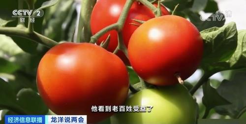 中國糧，用中國種！