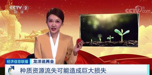 中國糧，用中國種！