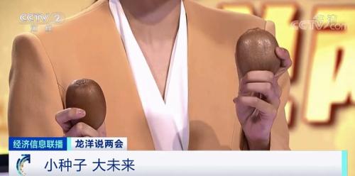 中國糧，用中國種！