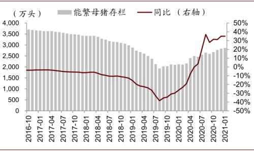 中金 | 糧食安全：糧安天下，創新護航長期發展