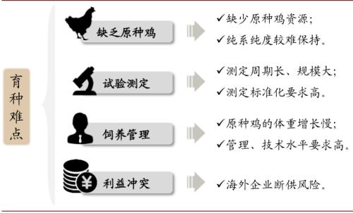 中金 | 糧食安全：糧安天下，創新護航長期發展