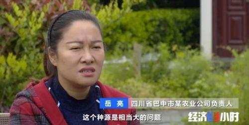 8個品種本土種豬滅絕!我們餐桌多為“外來豬”?!本土“二師兄”去哪了?