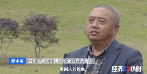 8個品種本土種豬滅絕!我們餐桌多為“外來豬”?!本土“二師兄”去哪了?